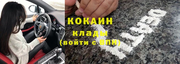 прущие грибы Алзамай