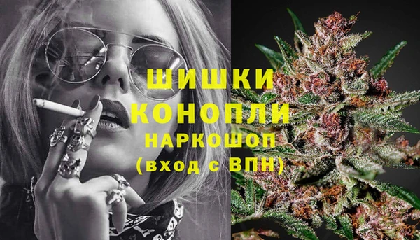 прущие грибы Алзамай