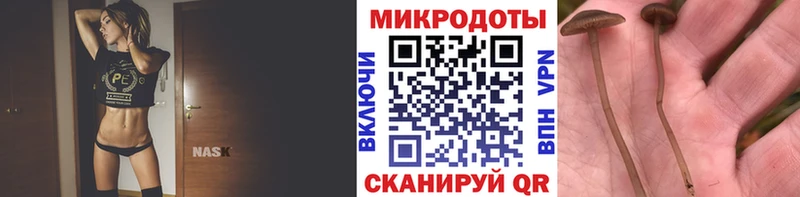 OMG ссылка  Артёмовск  Псилоцибиновые грибы Cubensis 